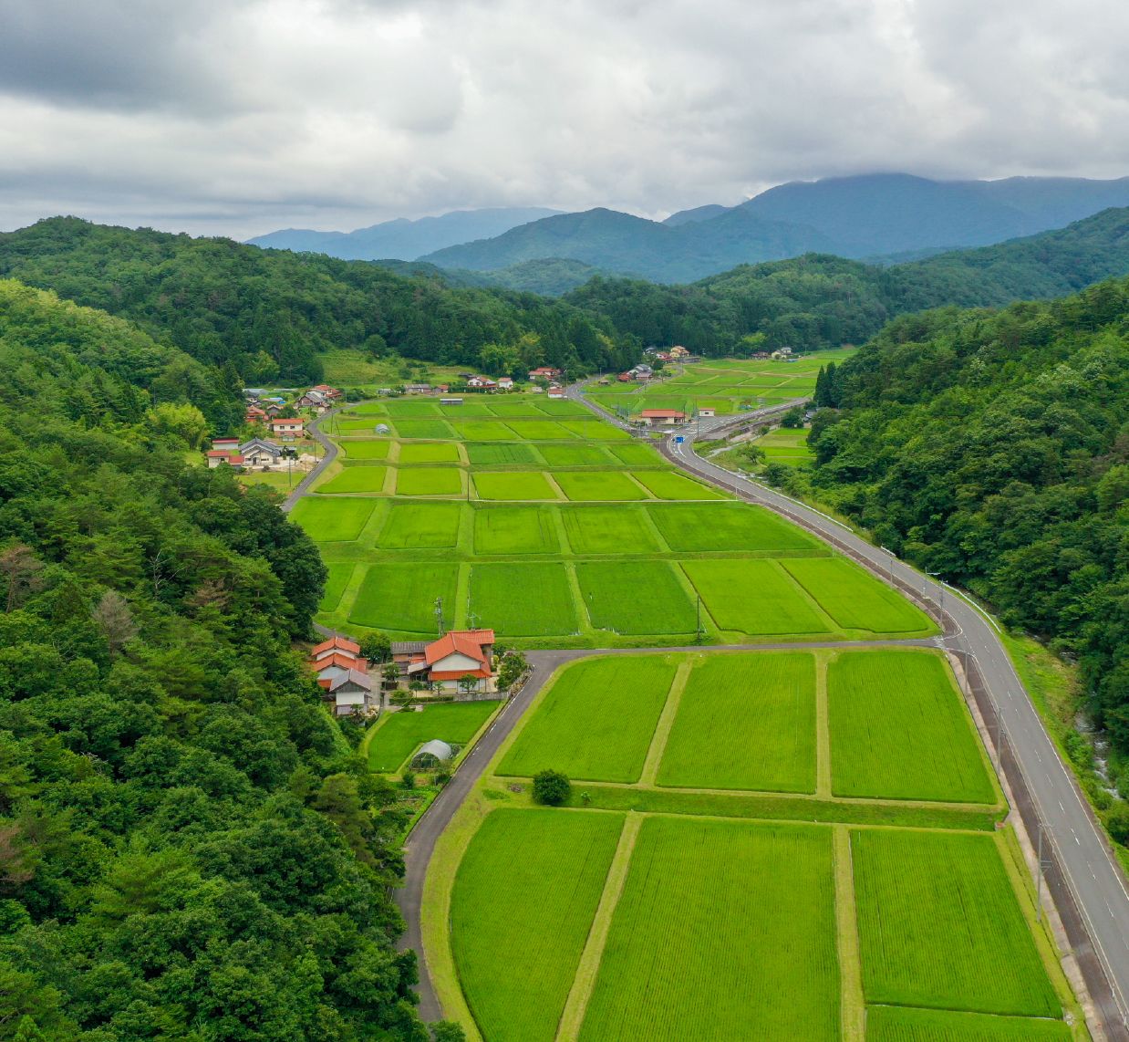 Beautiful Nature and Pristine Landscapes