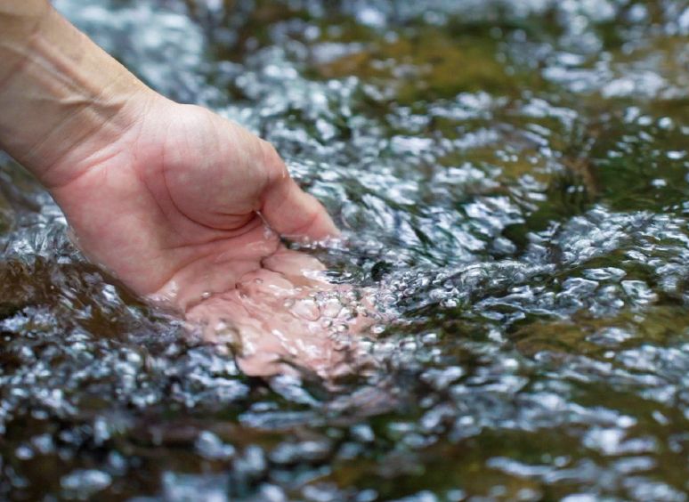 Beautiful Nature and Pristine Landscapes